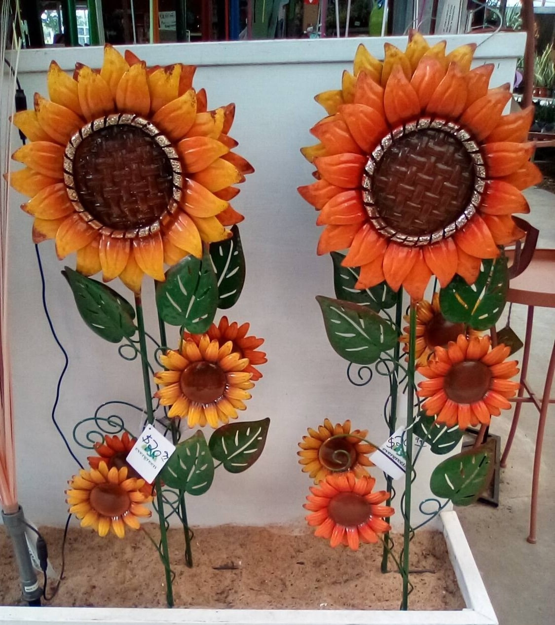 Plants-fall-decor-1