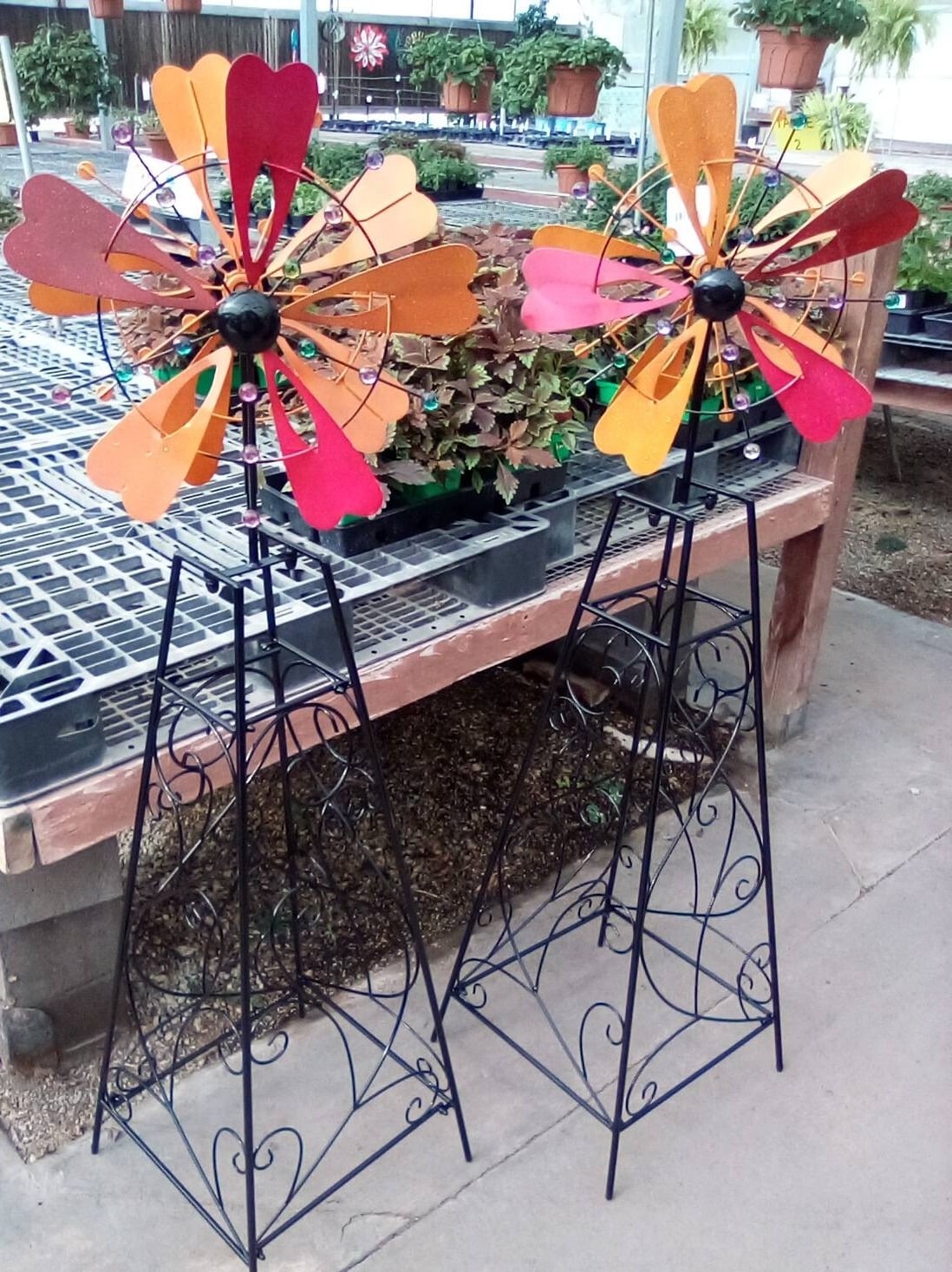 Plants-fall-decor-2