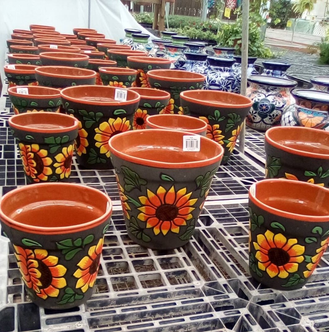 Plants-fall-pots-1